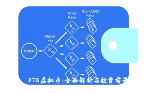 PTB虚拟币：全面解析与投资前景